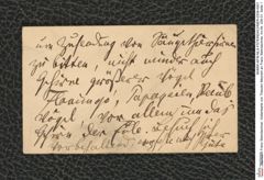 Nachlass Franz Steindachner, Visitenkarte von Theodor Meynert an Franz Steindachner, Inv.Nr. 339.01, Seite 1
